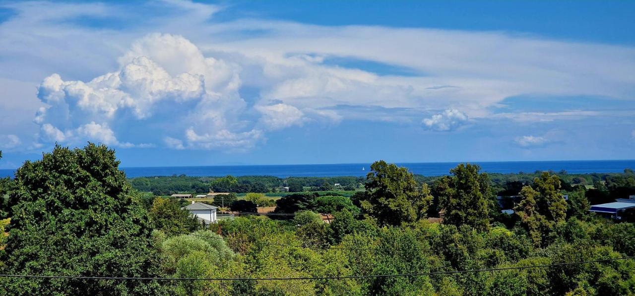 Villa Bistinetti Rez De Villa Tout Confort Avec Piscine Penta di Casinca Esterno foto